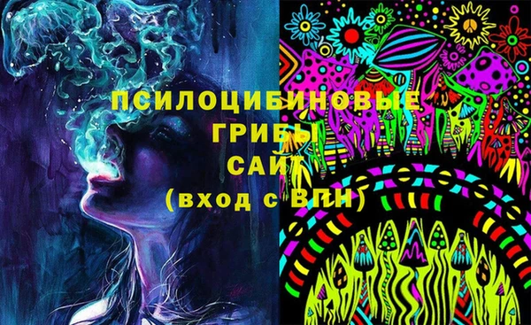 2c-b Абинск