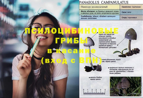 2c-b Абинск